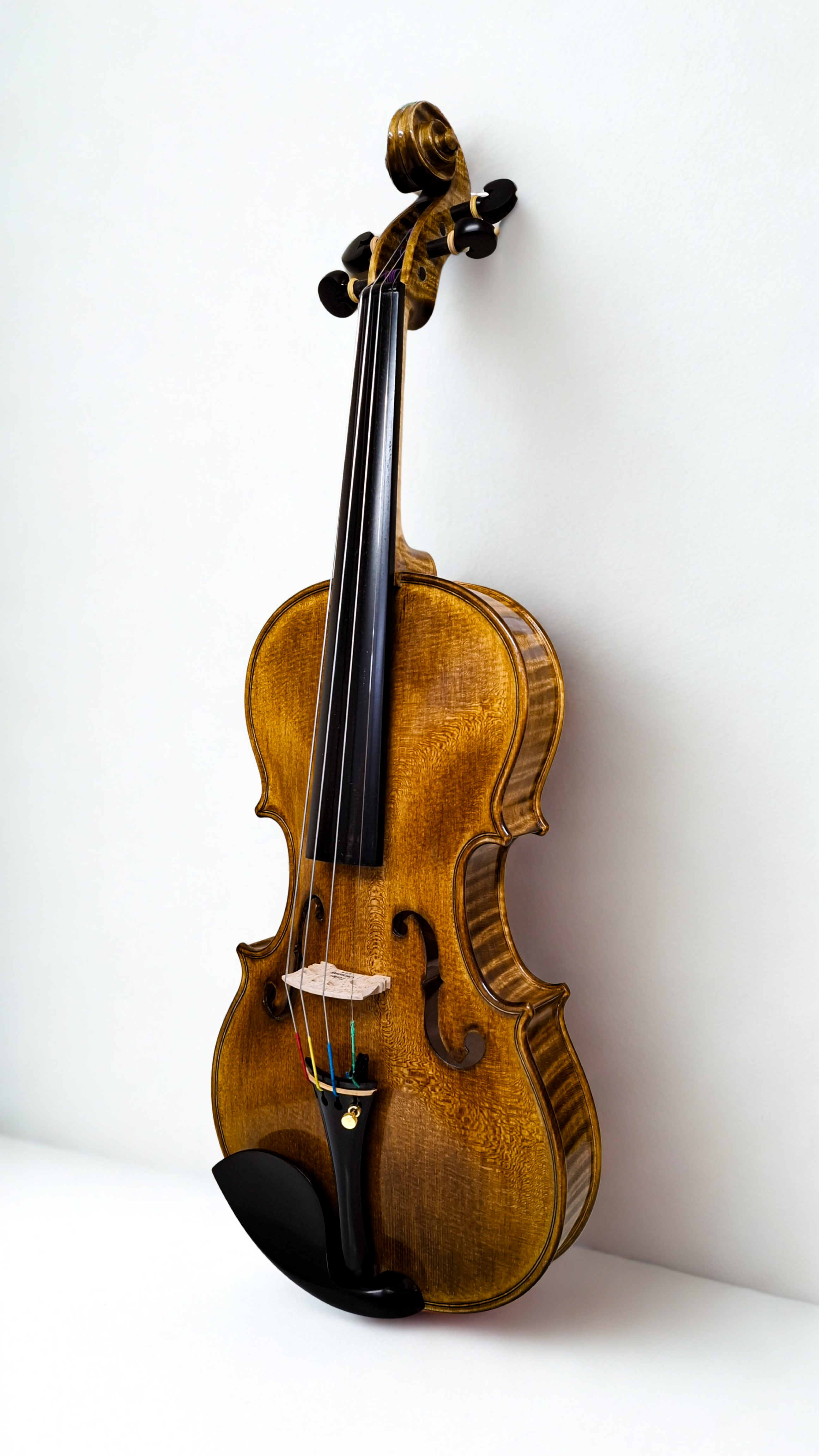 Cello modelo Matheo Goofriller - Costas