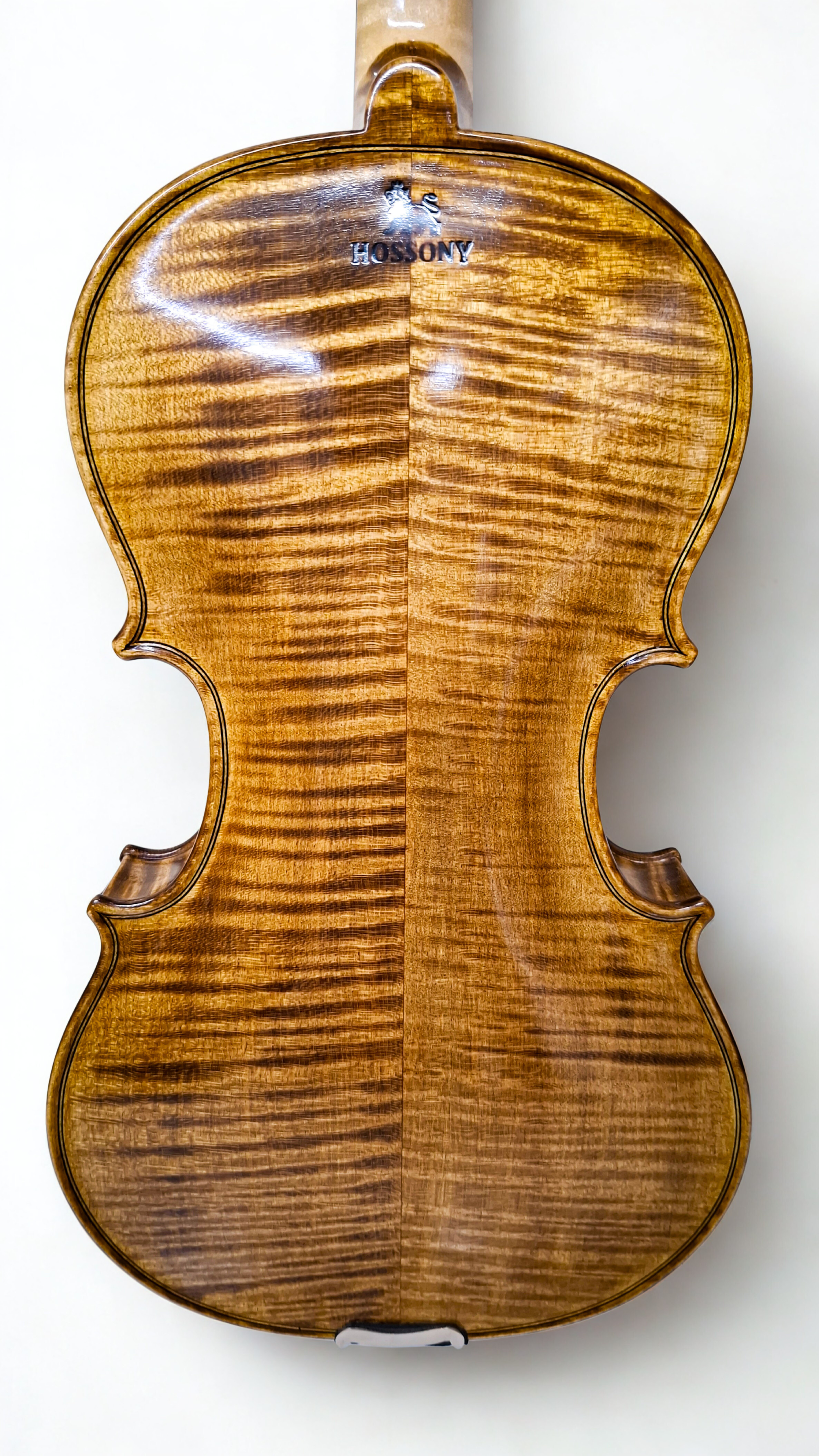 Cello modelo Matheo Goofriller - Voluta